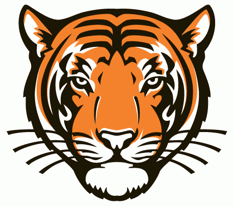 Princeton Tigers 2003-Pres Alternate Logo iron on transfers for T-shirts